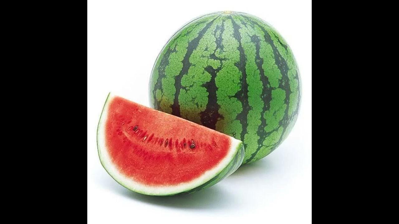 арбуз звуки. арбуз. схема арбуз 1 класс. арбуз звуки. арбуз карточка для детей.