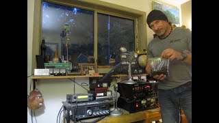 Germinating Trachycarpus takil palm seeds  using Baggy method