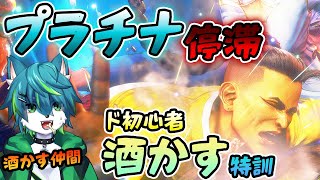 【スト6】ド初心者プラチナ停滞　酒かすジェイミー特訓！！　（ランク、練習台参加型）