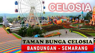 Celosia Bandungan Semarang,  Wisata Rekomendasi Liburan Keluarga di Semarang