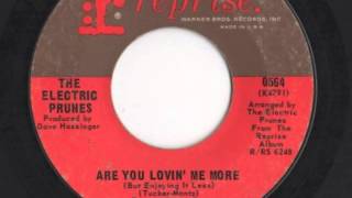 Watch Electric Prunes Are You Lovin Me More but Enjoy It Less video