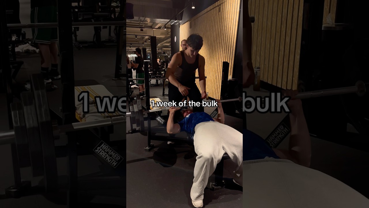 Cut VS Bulk Bench PR 