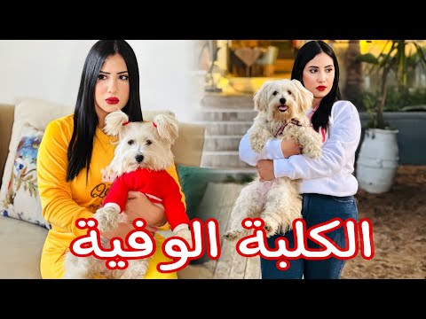 فيلم مغربي : غارو منها و بغاو يحرموها من الكلبة ديالها.. لاكن نهار مشات لفرنسا 🇫🇷(الكلبة الوفية)