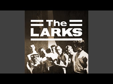 The larks / “Maggie Maggie Maggie” Maggie Maggie Maggie Out Out Out - song and lyrics by The
