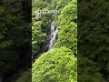 荒滝