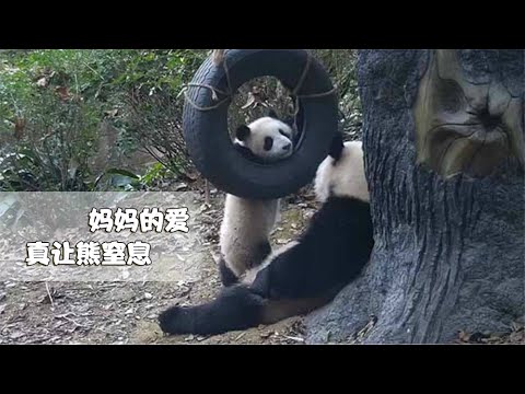 《熊貓早晚安》熊媽：玩具和我你選一個！熊寶：玩具 | iPanda