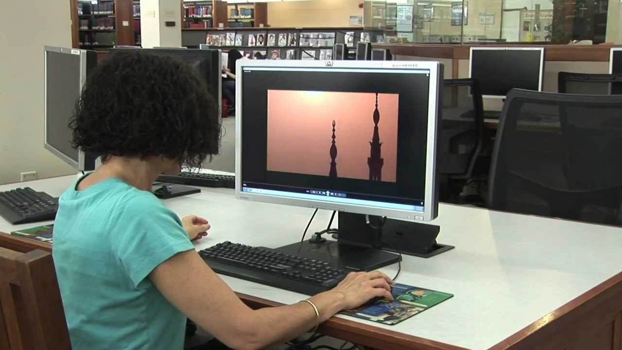 Anisa Mehdi: Documenting Life