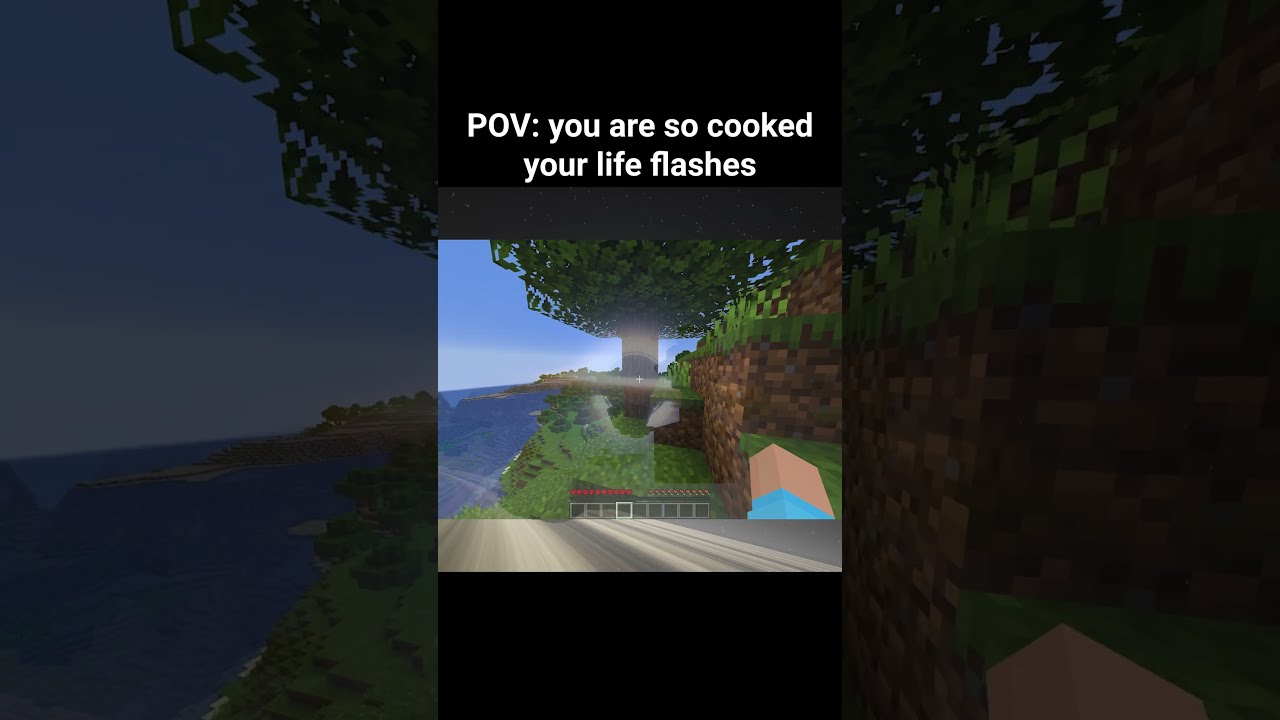 POV: your life flashing before your eyes 😭