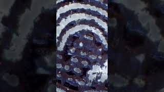 100 Dollar bill super zoom - #macro #closeup #zoom #money #dollar #detail #microscope