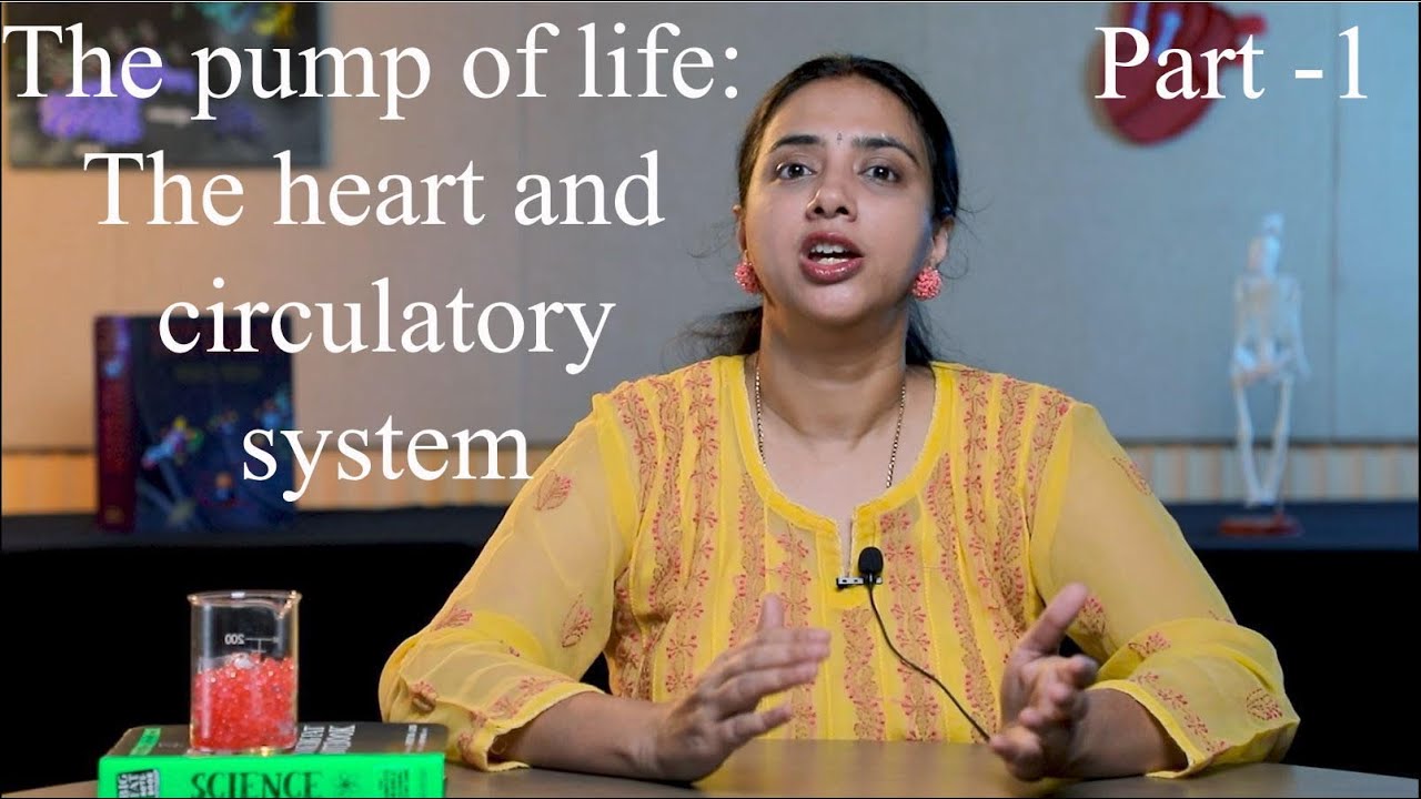 ⁣The pump of life: The heart and circulatory system - Part 1 | English
