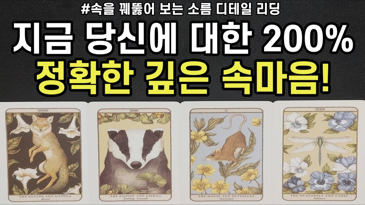 작두 주의! 지금 그 사람의 당신에 대한 200% 솔직하고 정확한 깊은 속마음,앞으로 관계흐름,조언드릴께요~(#타로)