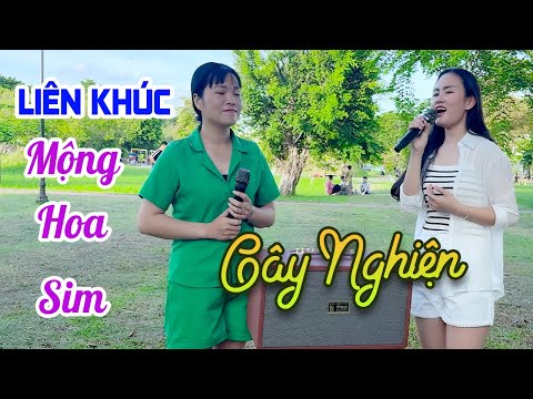Liên Khúc Mộng Hoa Sim, Hồng Thắm Triệu Hằng | LK Nhạc 8x 9x 1 Thời Để Nhớ
