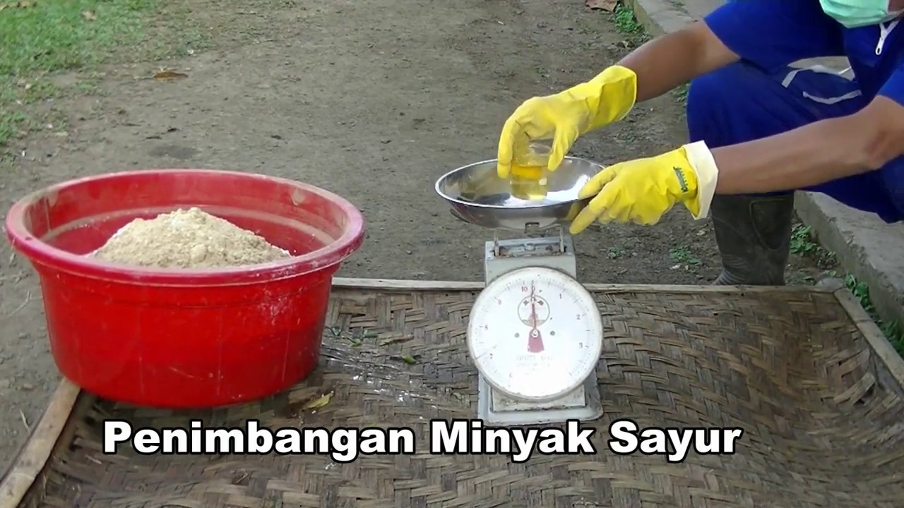 proses-pembuatan-pakan-ikan-menggunakan-eceng-gondok-youtube