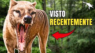 ANIMAIS EXTINTOS que podem ESTAR VIVOS