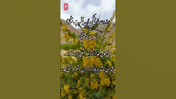 یک دقیقه با قرآن  ترتیل سوره بقره با تلاوت استاد ودیع الیمنی #🤲#🤲#🤲