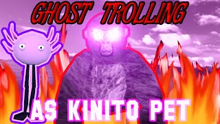 ghost trolling as kinito pet