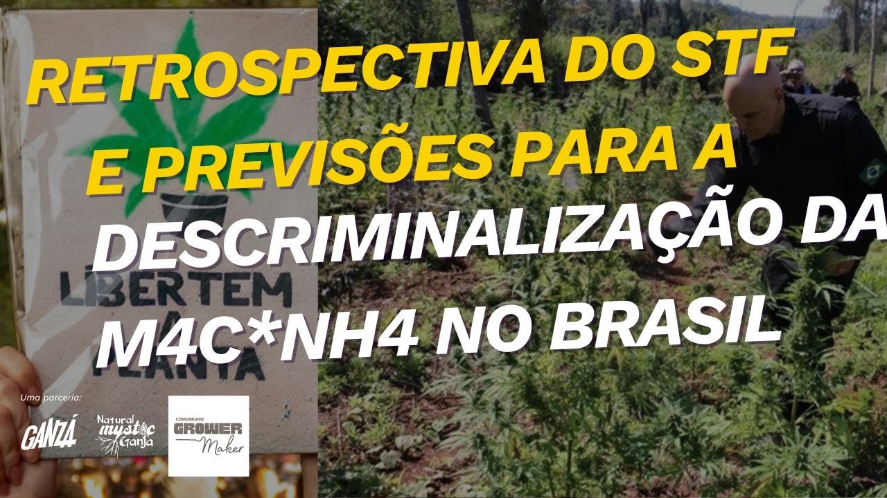 🔥🌿 Aquecimento para o Julgamento no STF: 📢🎥 Amanhã é o Dia!