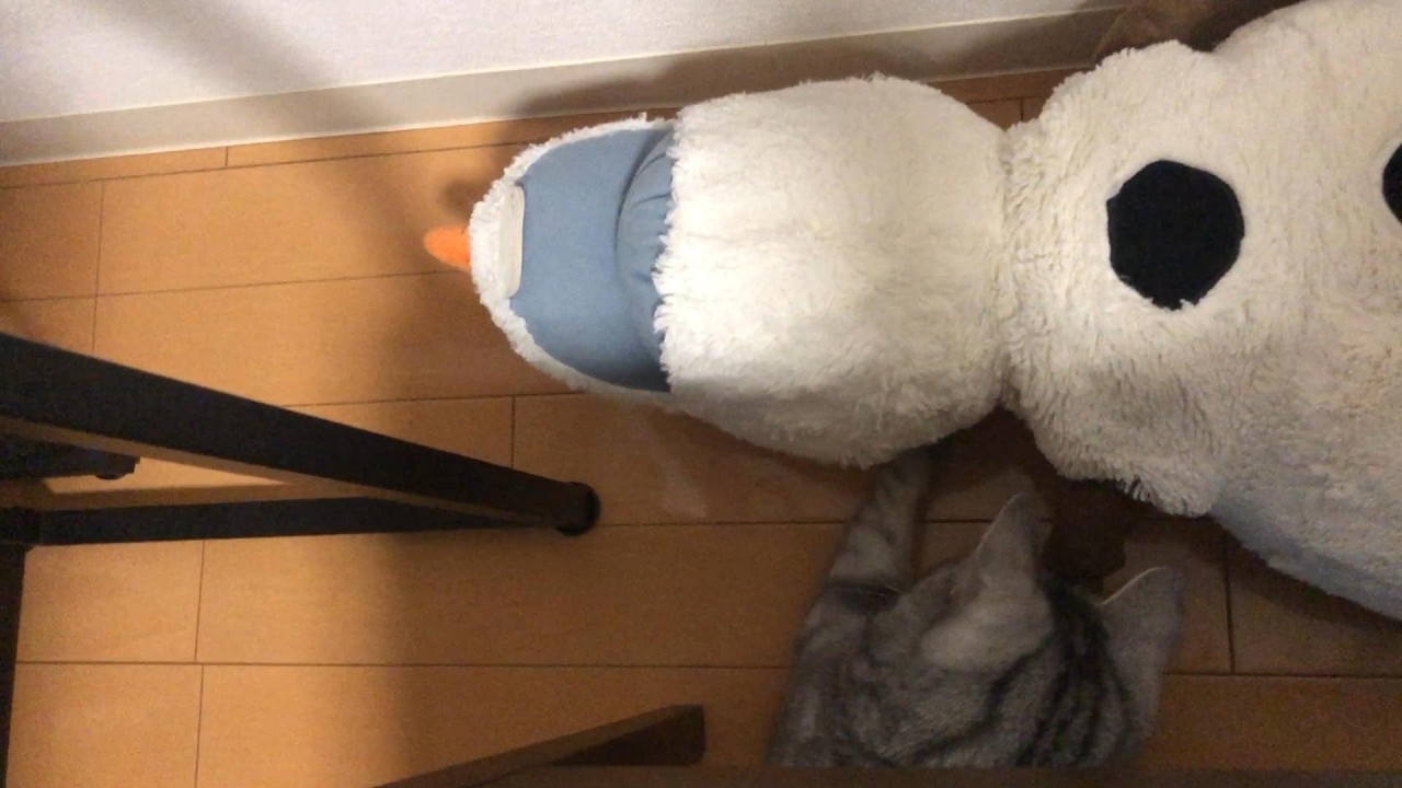 遊び終わりのターゲットはまさかのオラフ #ひめちゃん