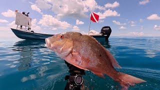 Its A Slicker -Spearing | Sandbar | Ceviche | Sharks
Want to support the Channel? Find out more ways you can support below!
Key West Waterman Merch - Spearguns - Charter recommendations & More
https://www.keywestwaterman.com
Want to buy or sell in the Florida Keys? My Wife Madeleine Is a Local Florida Keys Realtor. Her contact info is below!
https://dot.cards/madeleineyoung_realtor
What Products do I use? Full list on Amazon.
https://www.amazon.com/shop/keywestwaterman?ref cm_sw_r_cp_ud_aipsfshop_aipsfkeywestwaterman_0MB5XV9EZQ7BDRQYNXQW
Stay in our Airbnb, Located in Downtown Key West
https://www.keywestwaterman.com/our-airbnb
Follow Along on Instagram:
Aaron - https://www.instagram.com/keywestwaterman/
Madeleine - https://www.instagram.com/paddlin_madeleine/
0:00 Welcome Back
8:29 Mad Lobster
11:39 2nd Spot
14:32 Hole Hunting
26:50 Pitty Party
28:01 Permit Spawn
30:23 Hard No
32:52 Run!
34:16 Ceviche Sandbar
40:11 Shark Its A Slicker -Spearing | Sandbar | Ceviche | Sharks