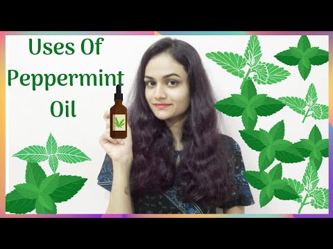 How To Use Peppermint Oil | Benefits & Uses Of Peppermint Oil | Beauty Studio