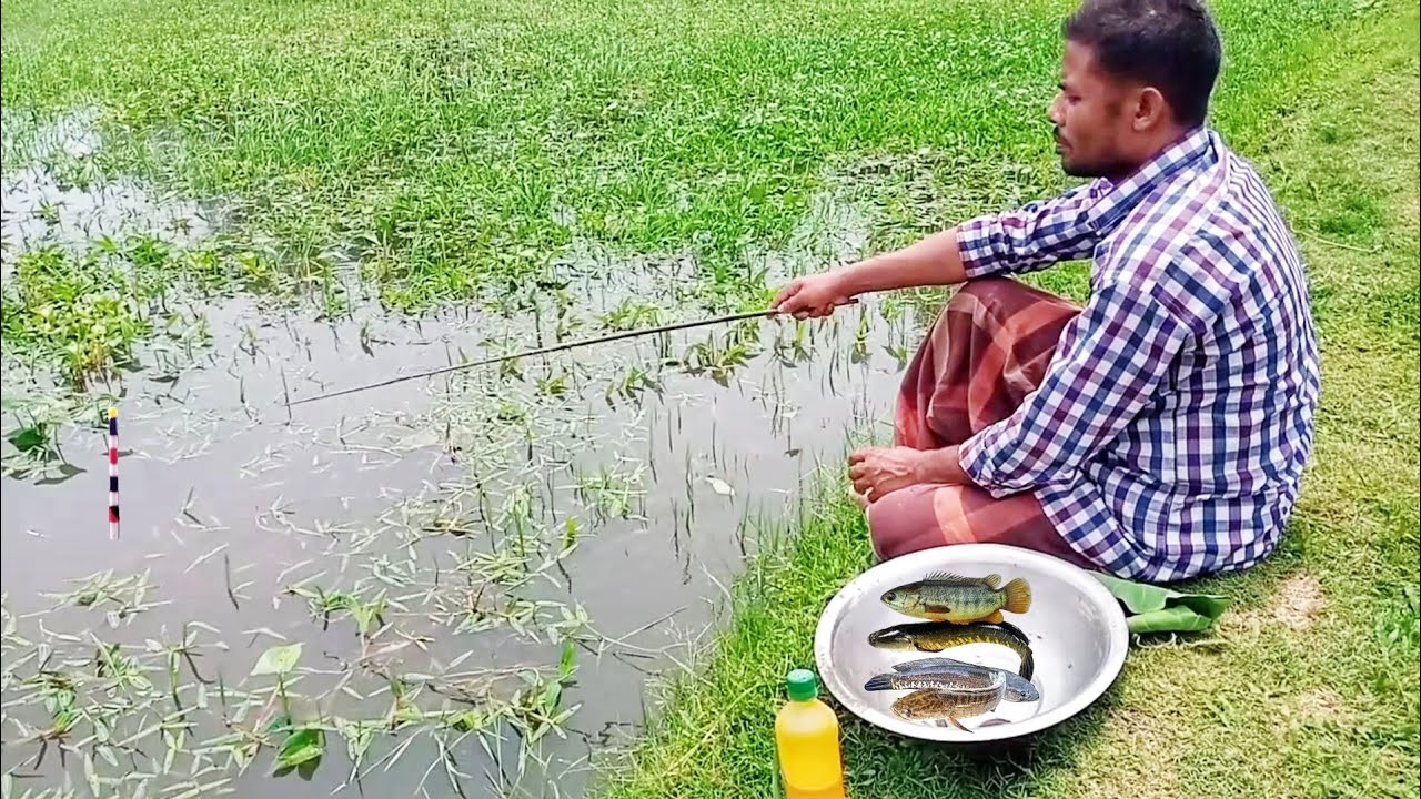 Fishing video🎣 traditional boy amazing catch hook fishing🐟in village