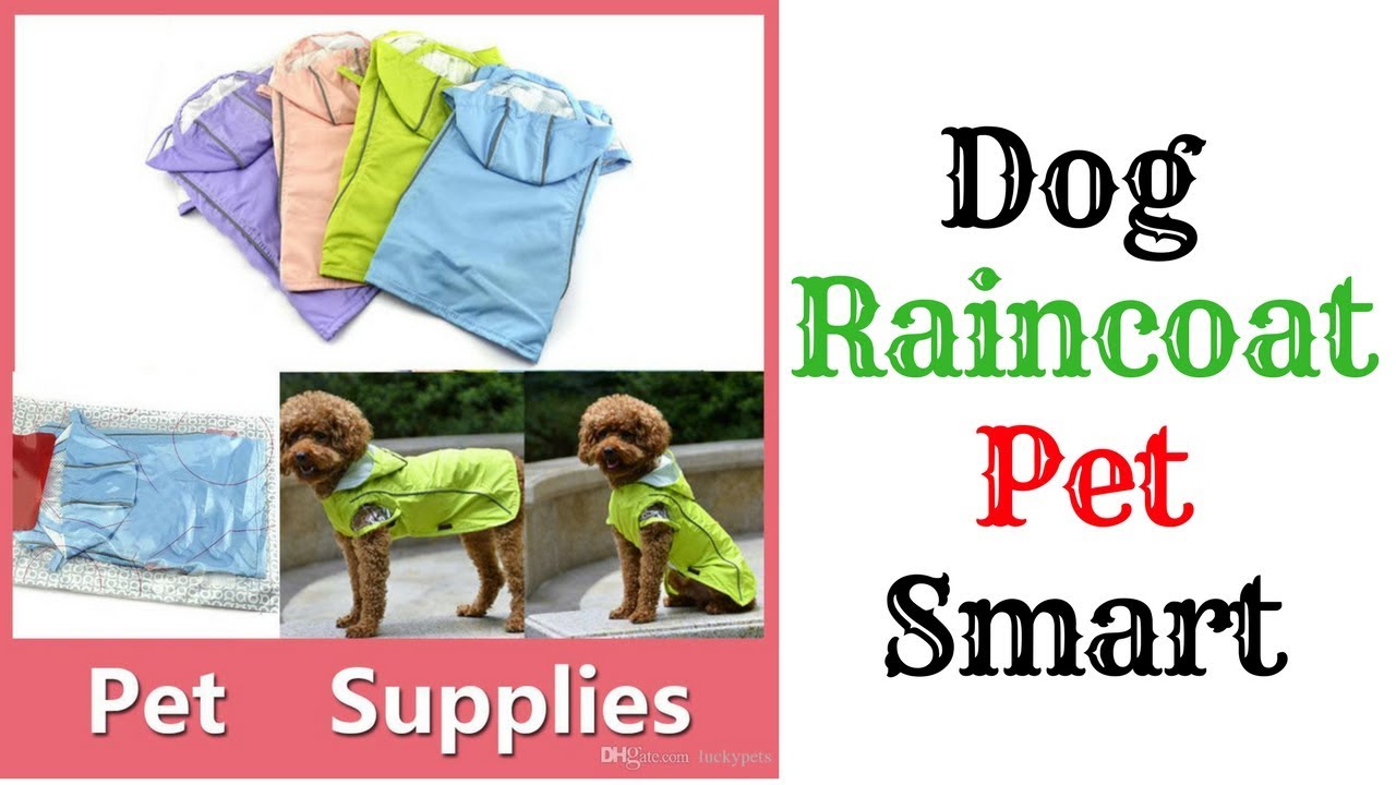 Dog Raincoat Pet Smart || Dog Rain Coat || Rainwear Clothes