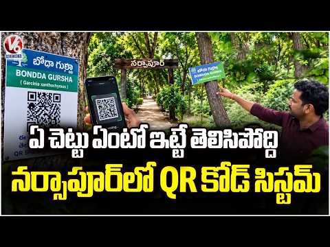 One Tree, One Number, One Story  Sangareddy’s Unique Green Initiative | V6 News - V6NEWSTELUGU