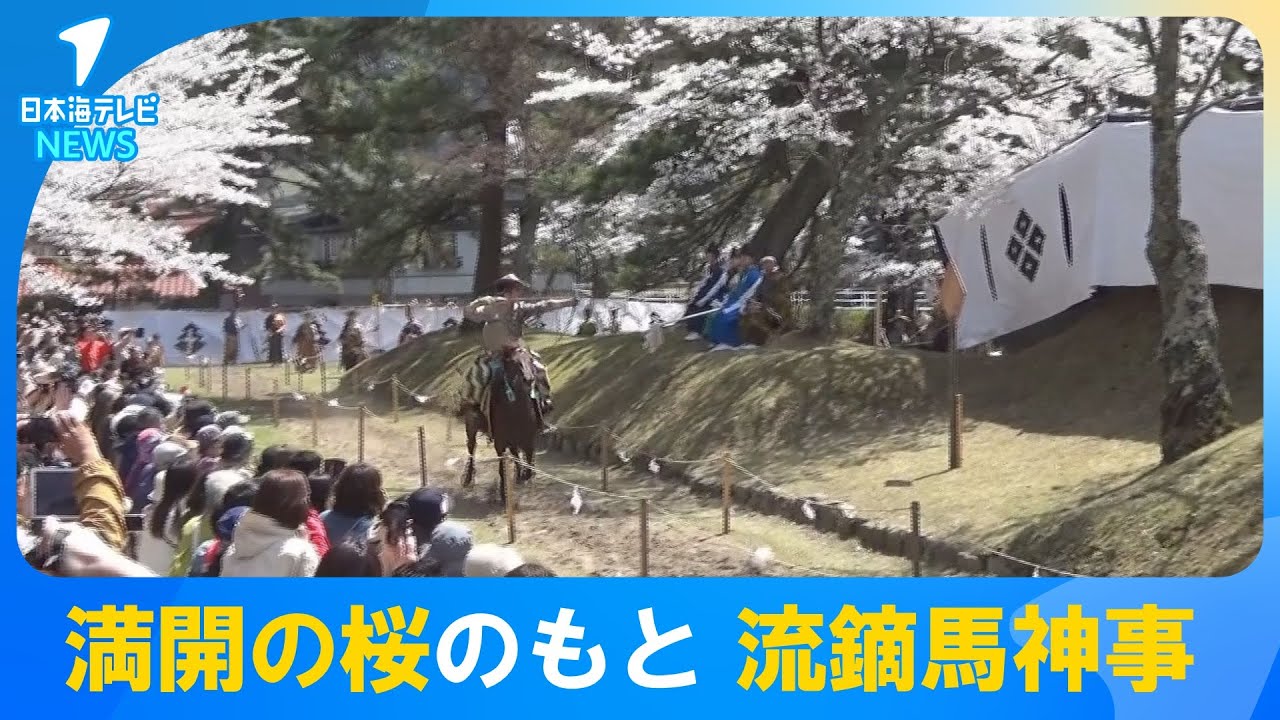 超希少　流鏑馬神事　鷲宮八幡宮　額入り當り的　です。 思ったよりスピードも凄くて感動】疾走する馬の上から的を射る流鏑馬