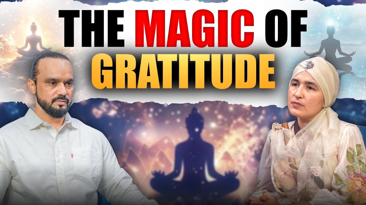 Manifest Anything : How Gratitude from The Magic Can Transform Your Reality | The Secret Book