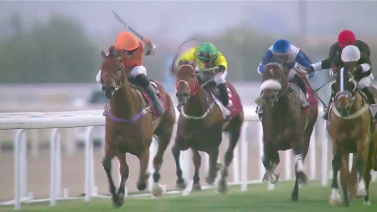 Kerindia (IRE) SEASON FINALE TROPHY - THOROUGHBRED (Class 1) 1400m