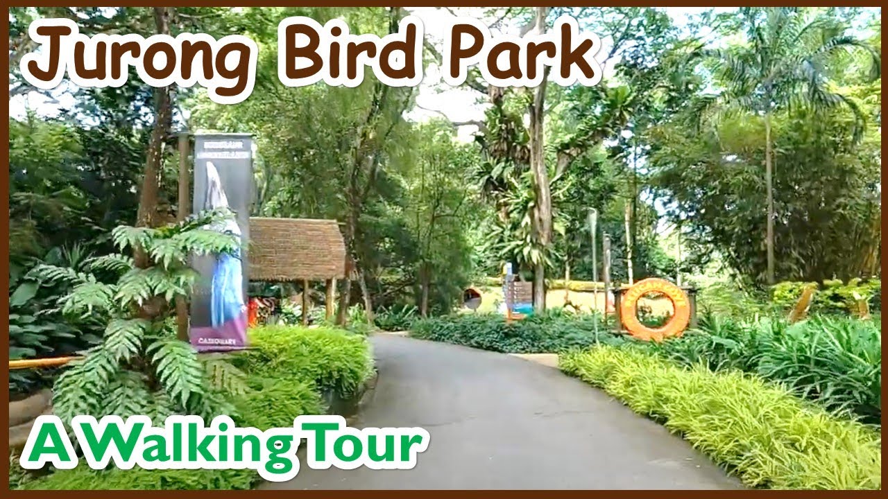 Bird Park Walk シンガポール バードパーク 歩いて一周 ハシビロコウのいるパーク ふたば ちゃんは日本のアイドル Singapore Bird Park Walk Around Youtube