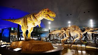 福井県立恐竜博物館がリニューアル