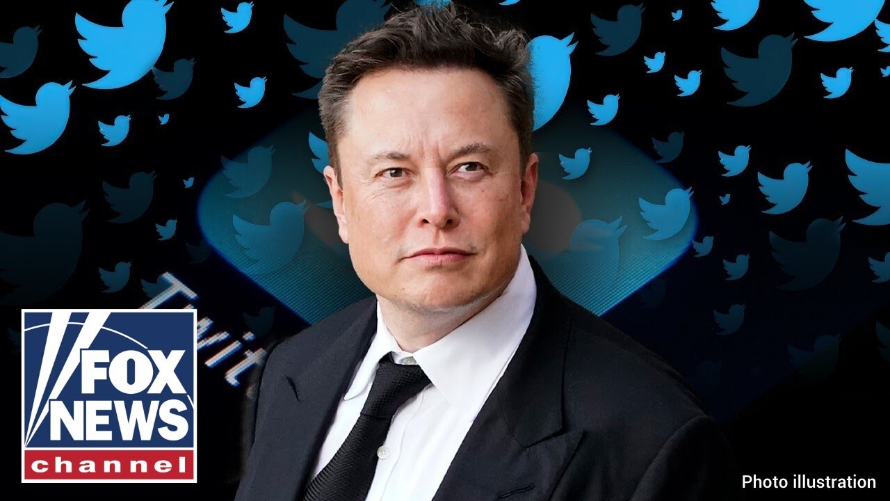 ‘Chief Twit’ Musk to unlock the Twitter jail, create council with diverse view points