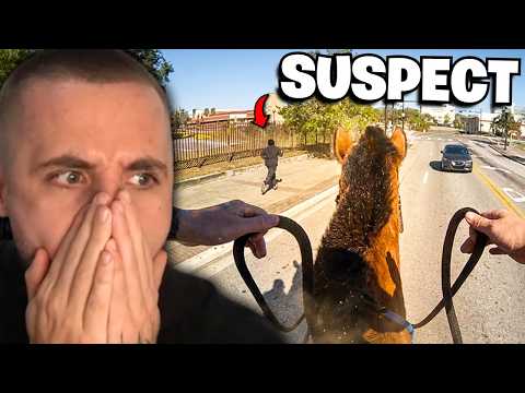 Police Horse Chases After Drug Dealer