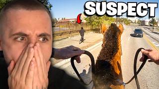 Police Horse Chases After Drug Dealer