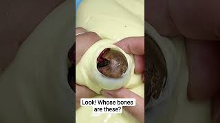 Whose bones #fakewater #crystalslime #treasurehunting #stressreliefvideo #uniquestressreliefmethods