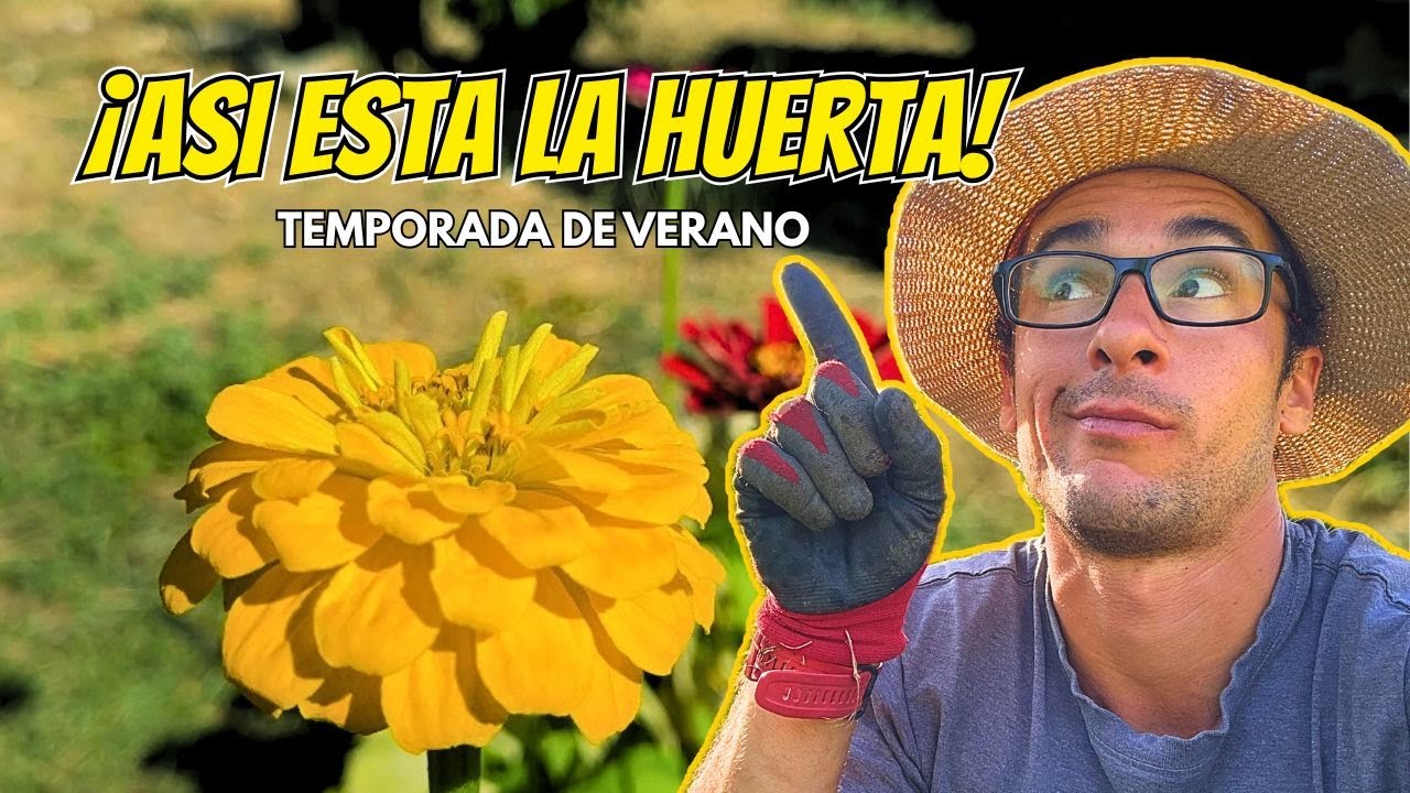 Del caos al paraíso verde 🌿 | Verano en la huerta