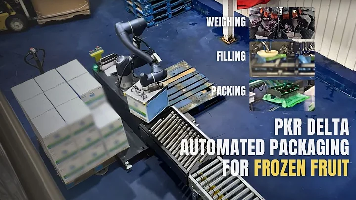 Turnkey Frozen Fruit Pouch Filling, Case Packing & Palletizing System