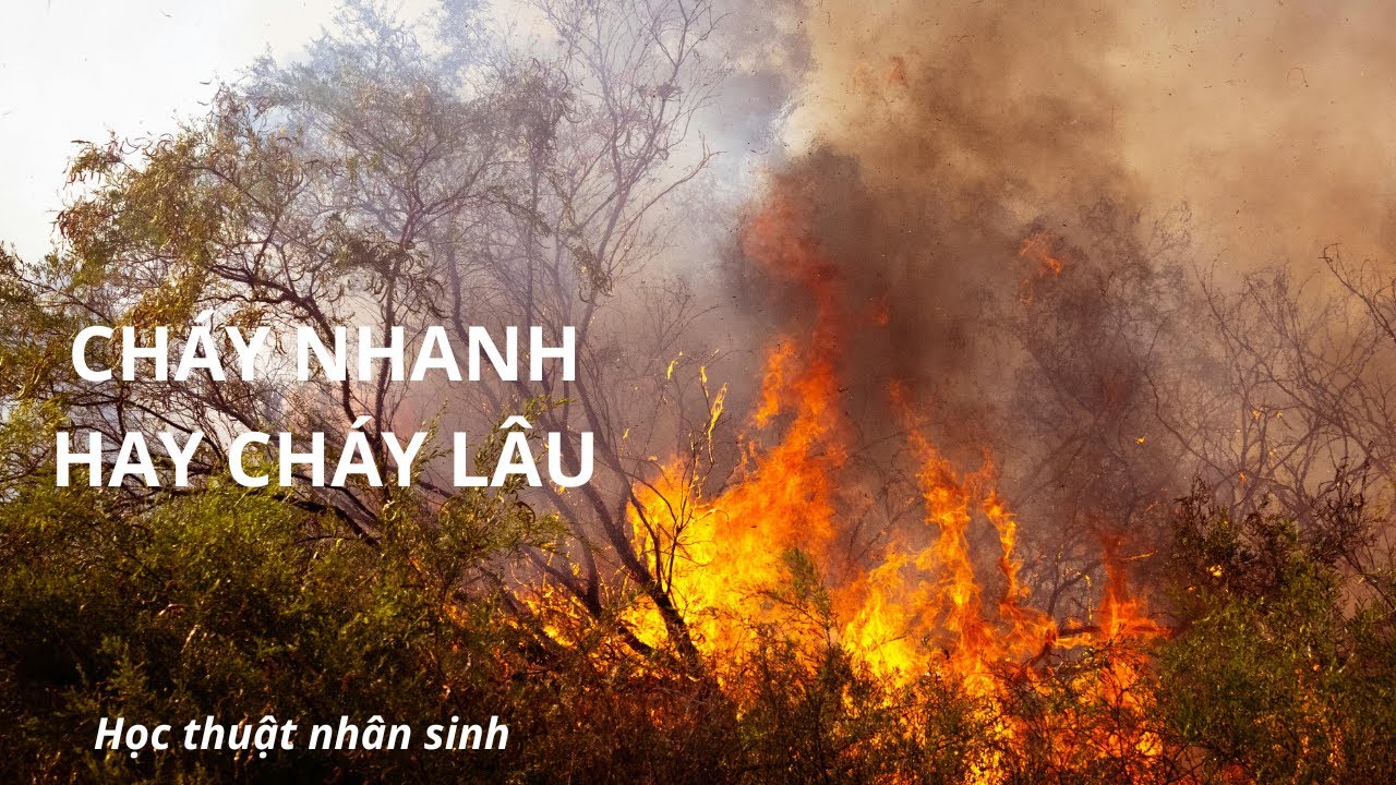 NGƯỜI LÀM THẬT GIỮA THỜI PHÔNG BẠT VÀ HÀO NHOÁNG