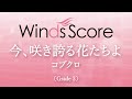今、咲き誇る花たちよ / コブクロ