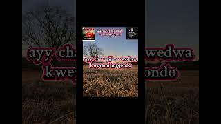 Asavela Ft Mjabulisi  Inhliziyo Yami  S