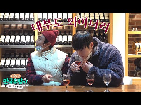 [경기] 《한국의 <strong>대표</strong> 와인 산지, 대부도! 대부도 와이너리에 다녀왔습니다》 ［부산 MBC 좌충우돌 만국유람기 떠나요! 차박 <strong>캠핑</strong> 20220129 방송］