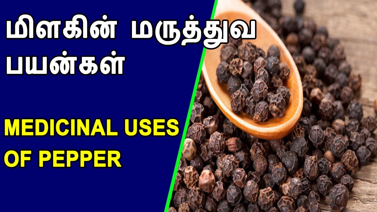 மிளகின் மருத்துவ பயன்கள் medicinal uses of pepper medicinal