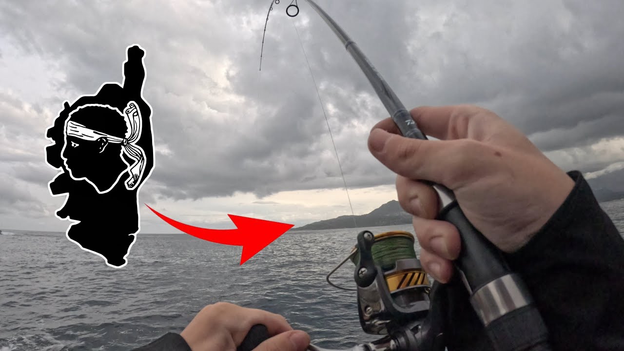 PÊCHE en CORSE du BORD: CATCH and COOK