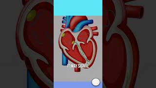 Heart Racing or Skipping Beats? Know the Warning Signs
