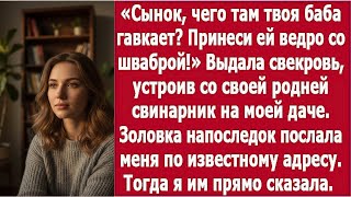 "Свекровь устроила свинарник на моей даче и приказала сыну подать мне ведро со шваброй"