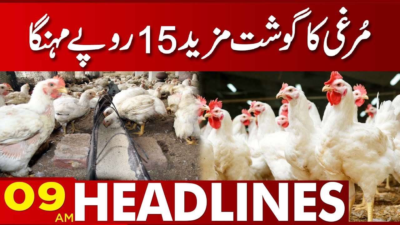 Chicken Price Hike 0900 AM News Headlines 18 February 2023