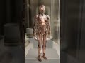 Satisfying Pocket Capsule Transforms Into Rose Gold Gynoid And Bronze Mecha