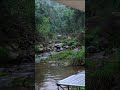 My Tent Faced the Stream and the View Was Unreal | Solo Camping | Nature ASMR #shorts  #wildcamping