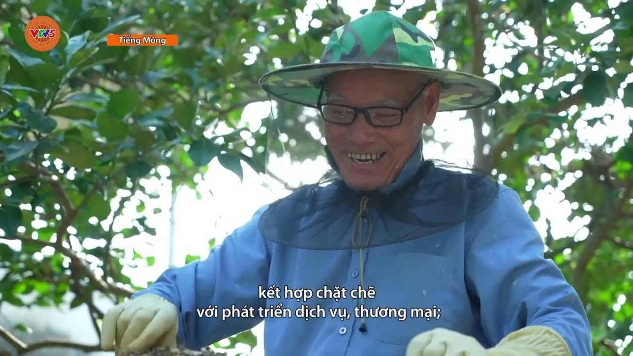 [TIẾNG MÔNG] NÔNG DÂN TUYÊN QUANG VỚI NHIỀU CÁCH LÀM SÁNG TẠO TRONG PHÁT TRIỂN KT | VTV5